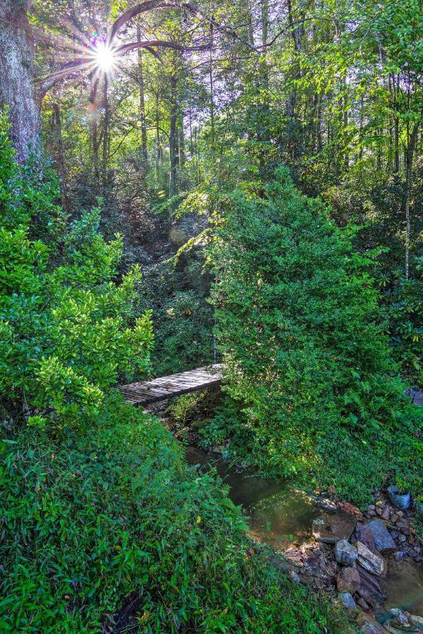 Shaw Creek Cottage With Fire Pit And Forest Views Hendersonville Εξωτερικό φωτογραφία